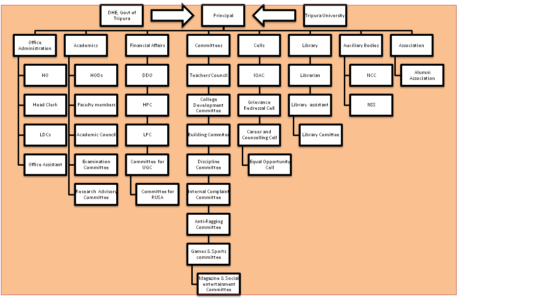 organogram